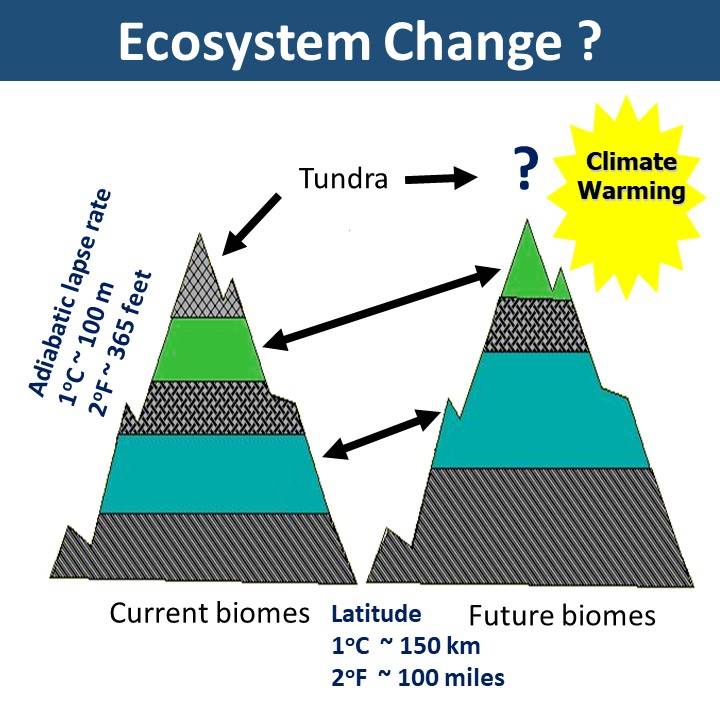 cartoon of biome changes